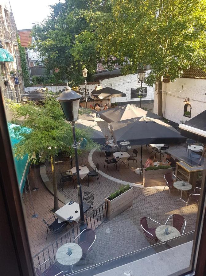 Al In Den Aap Gelogeerd? Mechelen